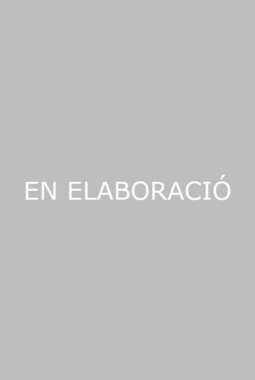 Anàlisi de vulnerabilitat